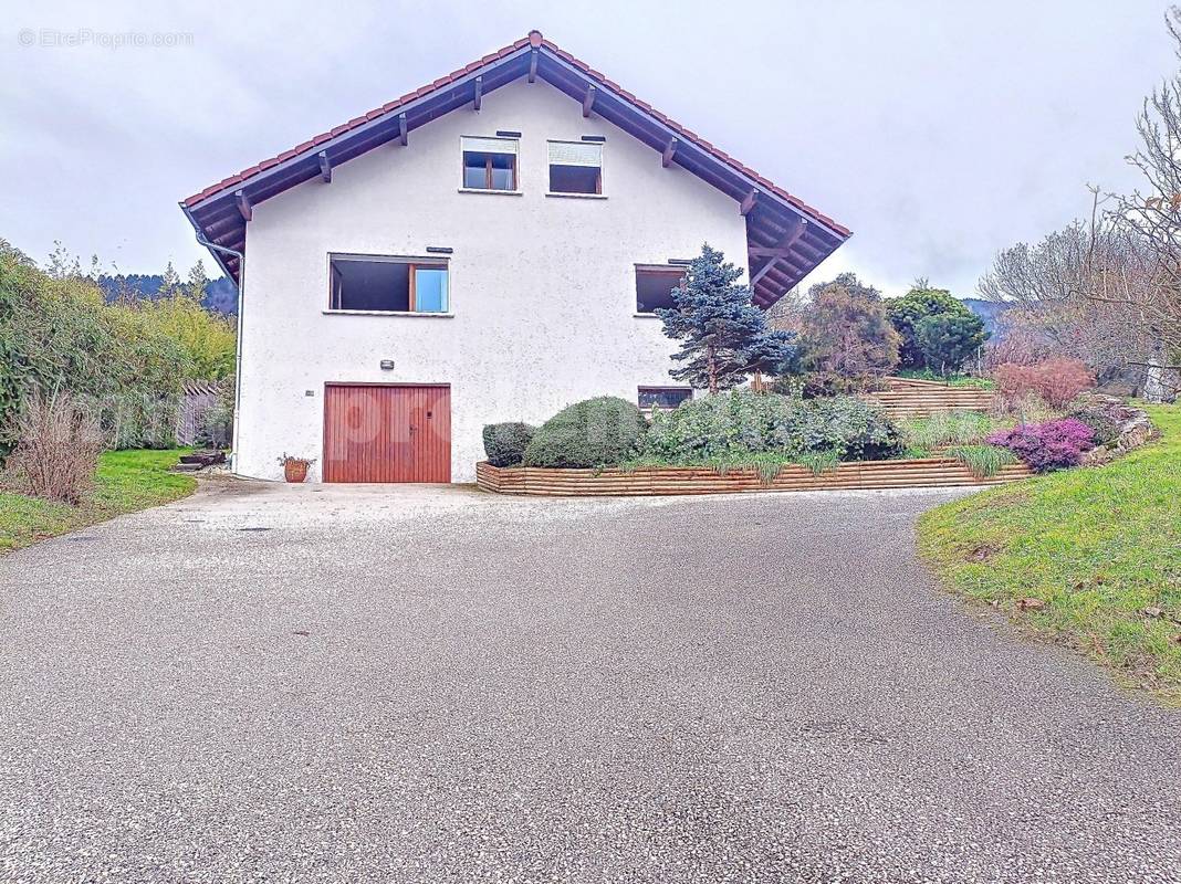 Maison_individuelle_Saint-Cergues_vue_magnifique_dégagée_lac_leman_montagnes_frontière_Suisse_Genève_CEVA_terrain - Maison à SAINT-CERGUES