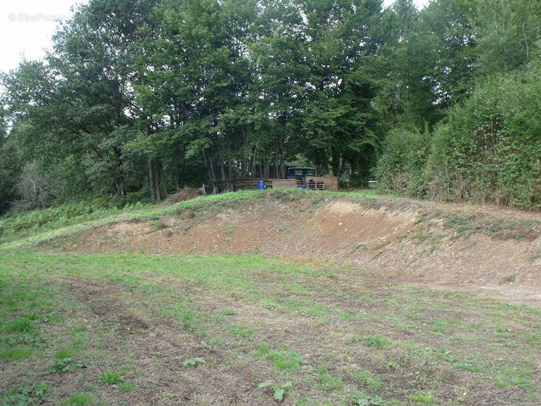 Terrain à CHAMPAGNEY