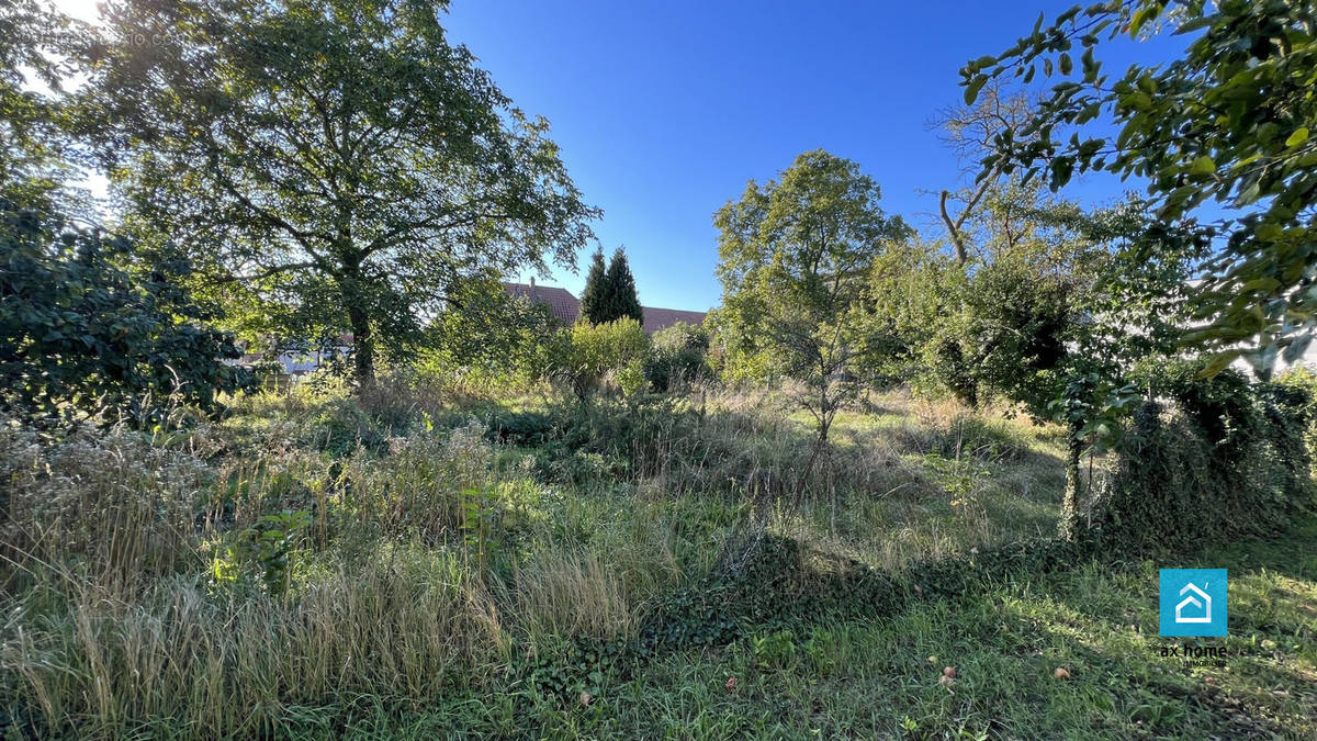 Terrain à TRUCHTERSHEIM