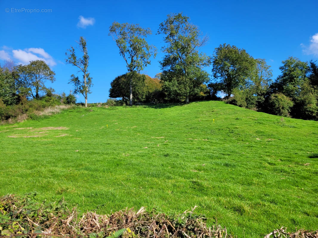 Terrain à LONGVILLIERS