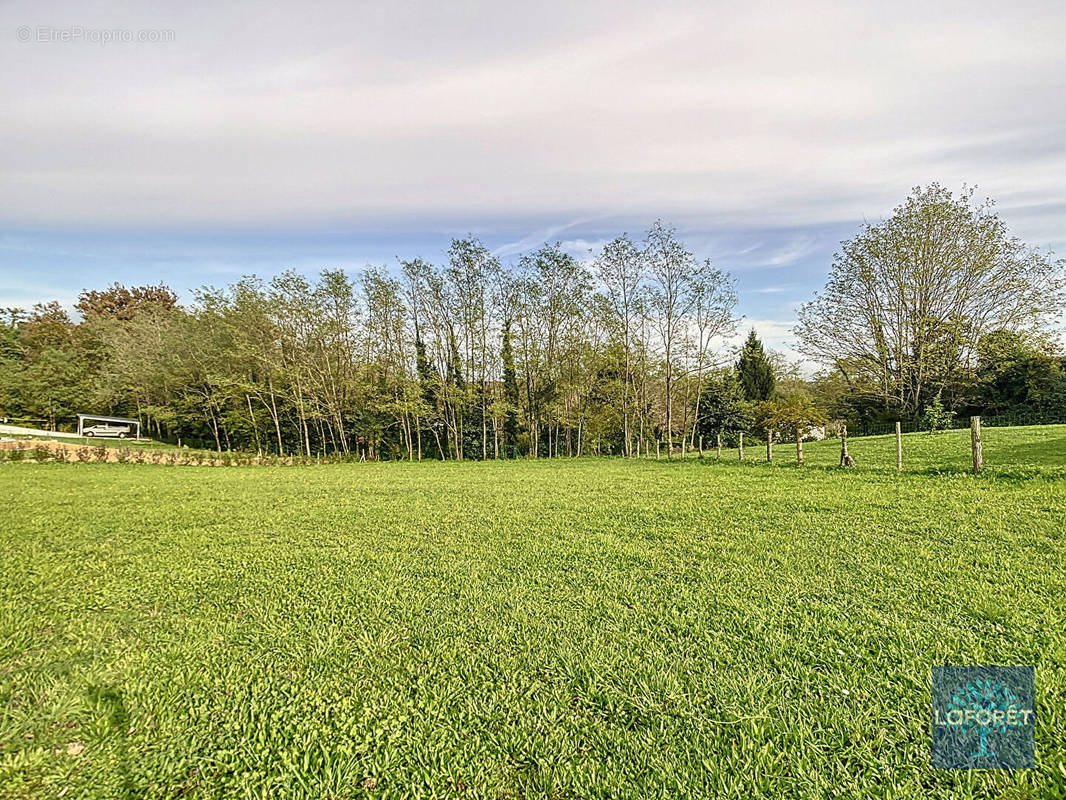 Terrain à MONTFORT-EN-CHALOSSE