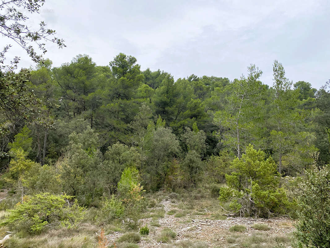 Terrain à JOUQUES