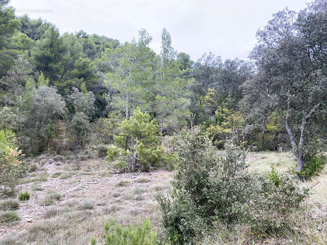 Terrain à JOUQUES