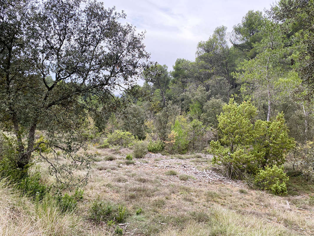 Terrain à JOUQUES