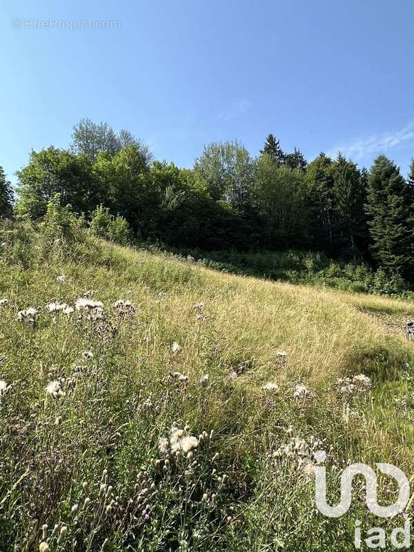 Photo 3 - Terrain à SAINT-GERVAIS-LES-BAINS