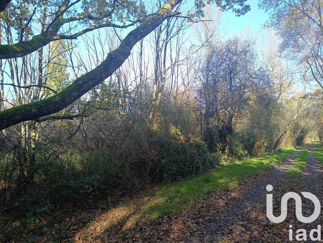 Photo 1 - Terrain à PRUNIERS-EN-SOLOGNE