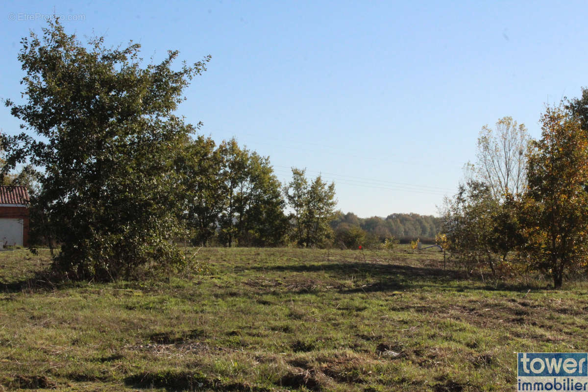 Terrain à NEGREPELISSE