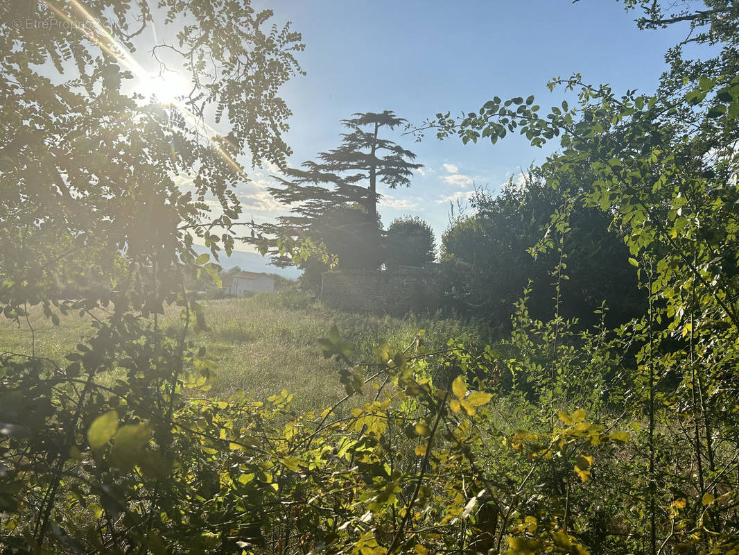 Terrain à SAINT-JUST-SAINT-RAMBERT