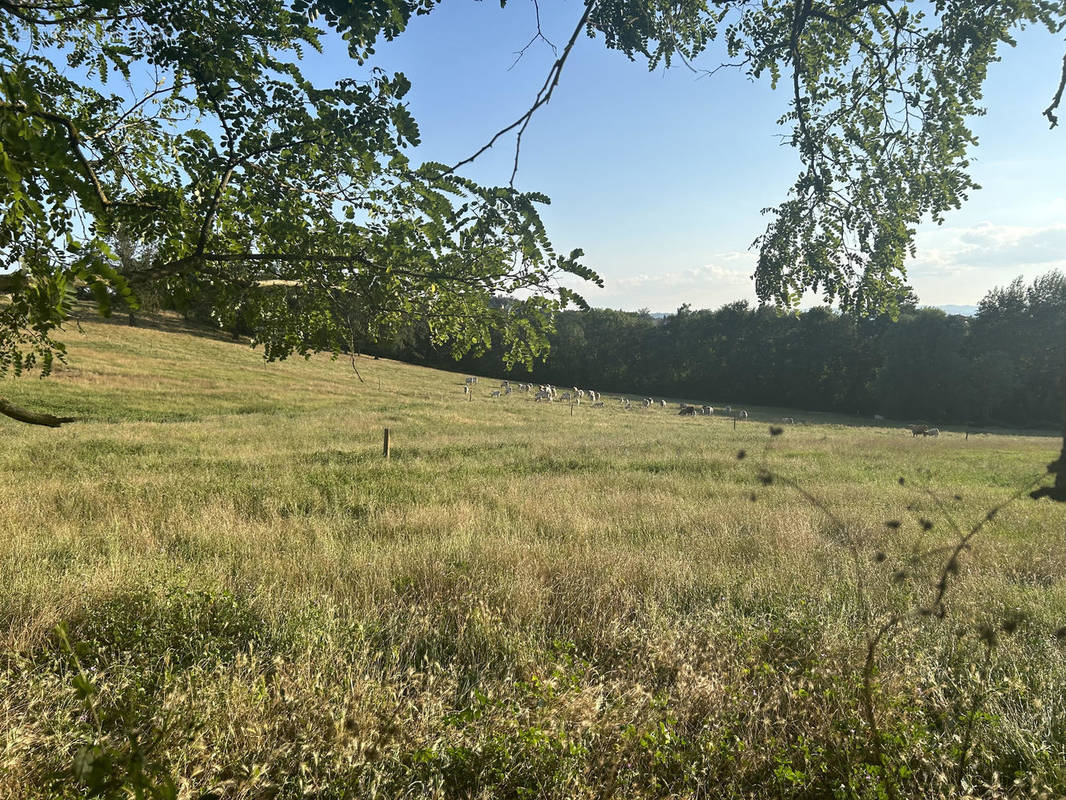 Terrain à SAINT-JUST-SAINT-RAMBERT