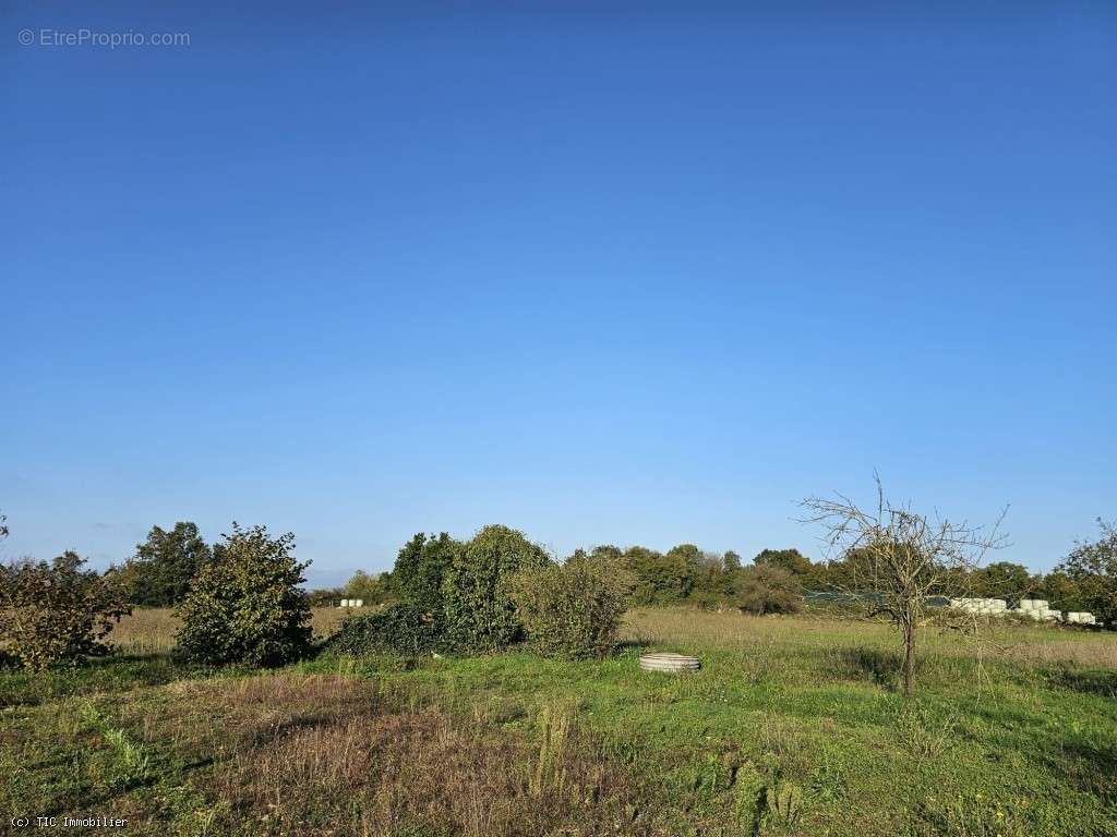 Maison à VERTEUIL-SUR-CHARENTE