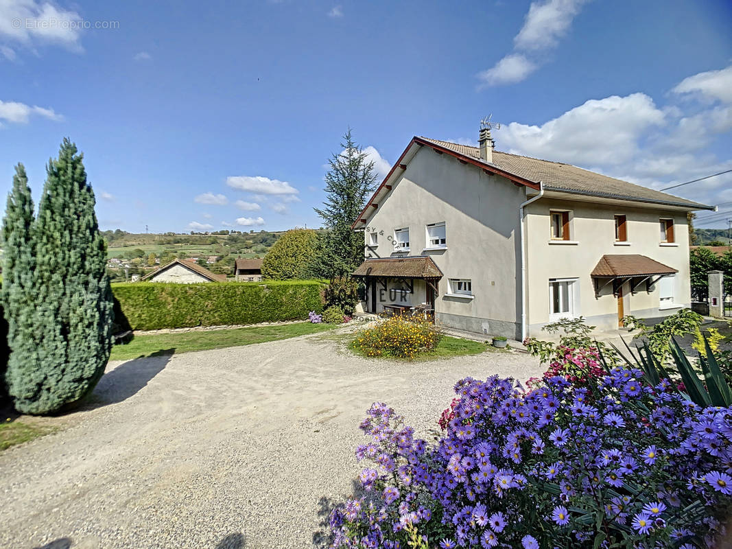 Maison à SAINT-SAVIN