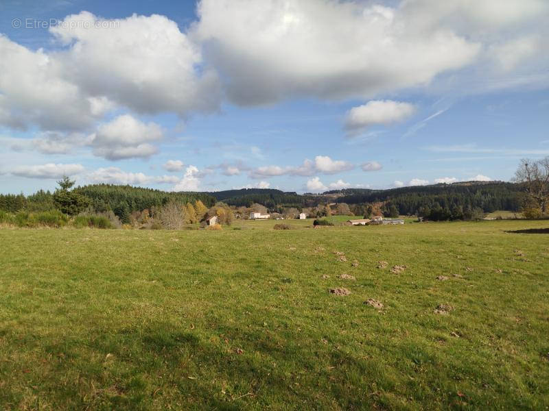 Terrain à SAINT-GERMAIN-L&#039;HERM