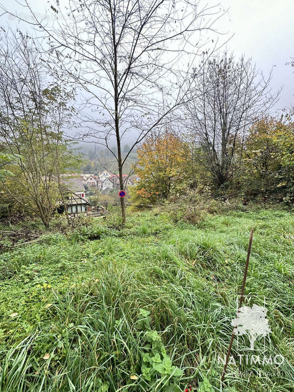 Terrain à ANDLAU