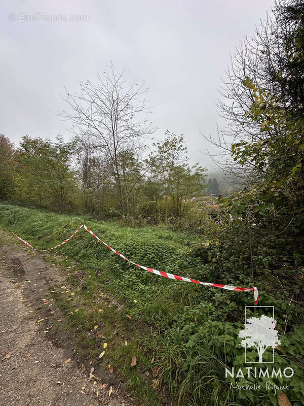 Terrain à ANDLAU