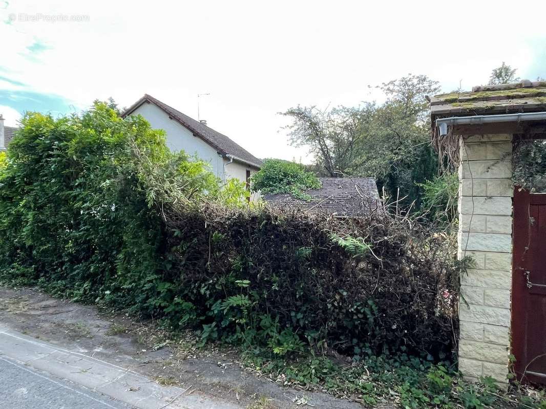 Terrain à JONCHERY-SUR-VESLE