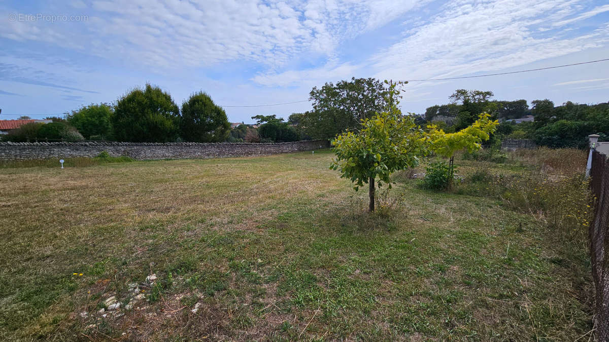 Terrain à NIORT