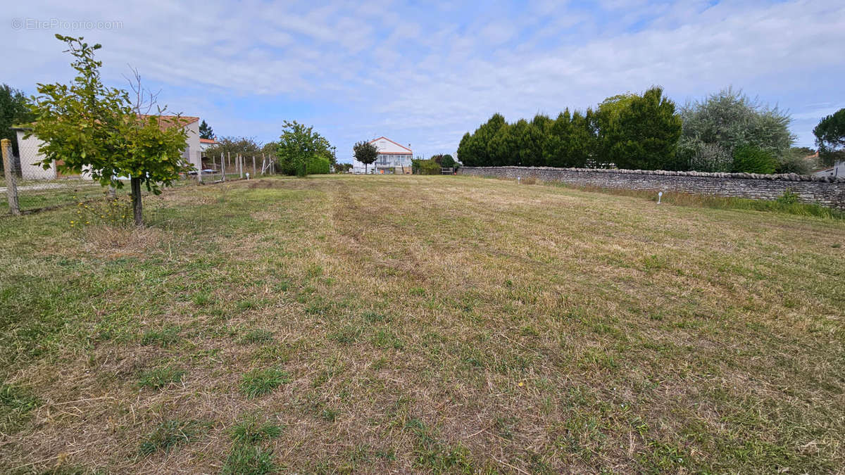 Terrain à NIORT