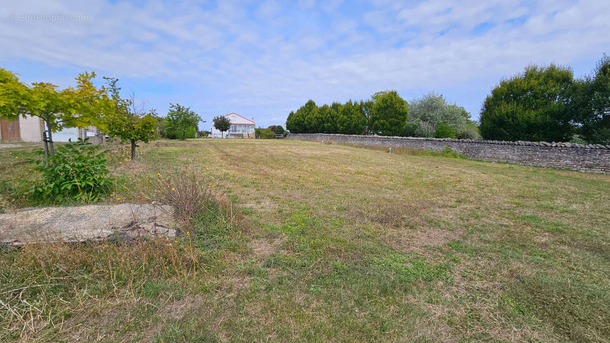 Terrain à NIORT