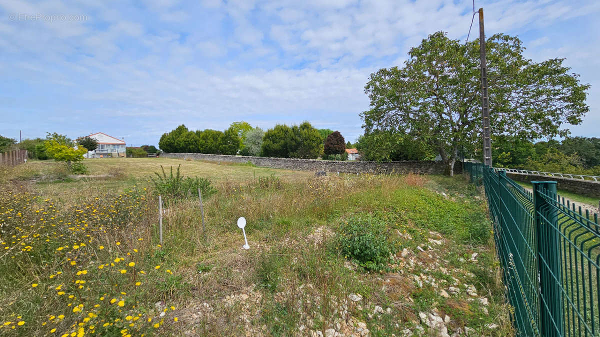 Terrain à NIORT