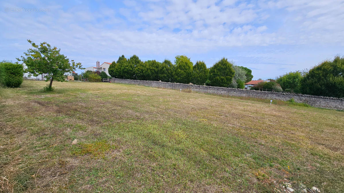 Terrain à NIORT