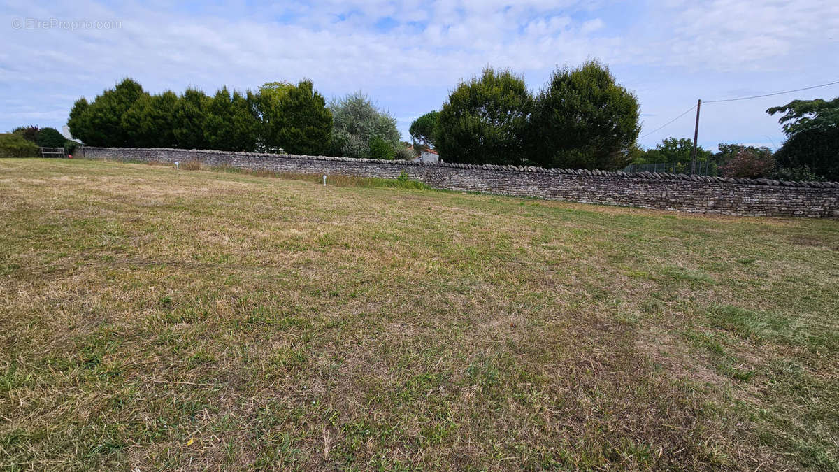 Terrain à NIORT