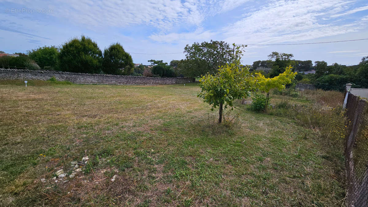 Terrain à NIORT