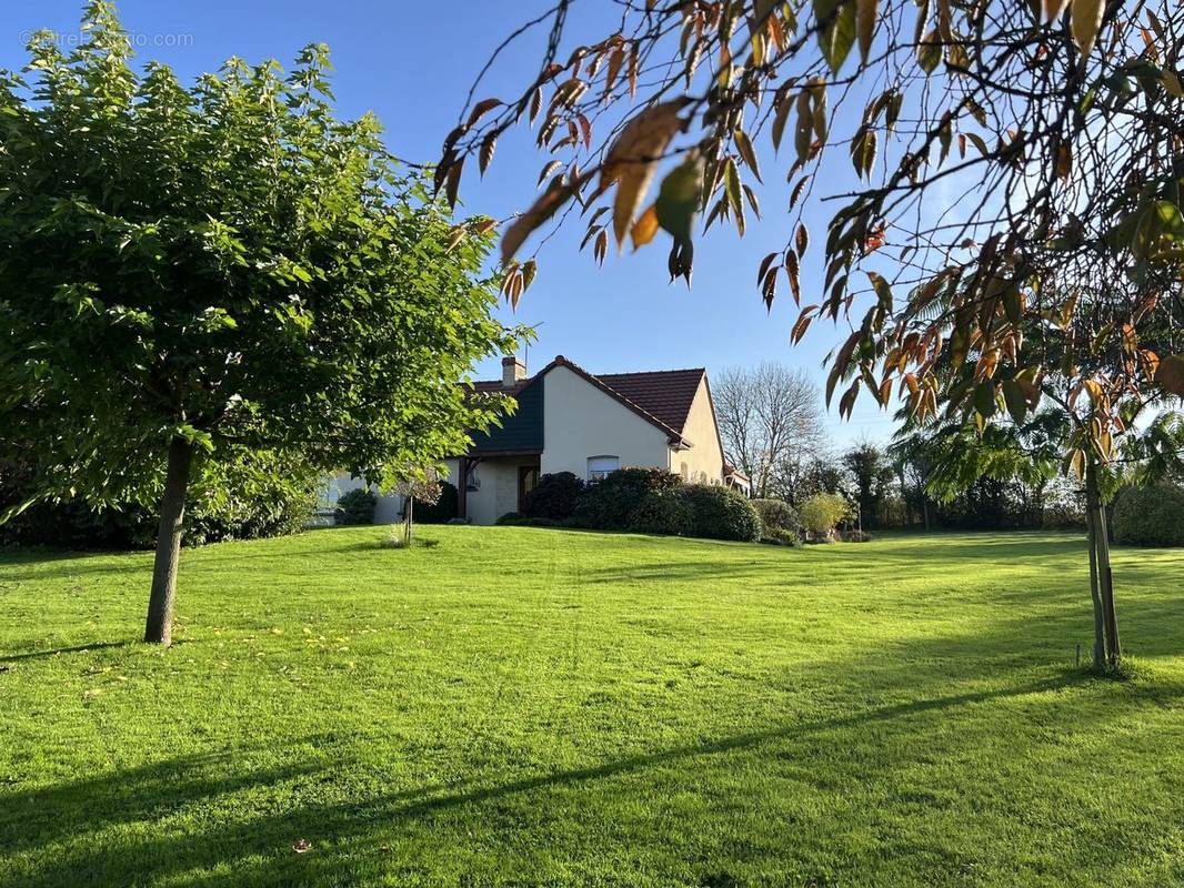 terrain - Maison à ECOUCHE