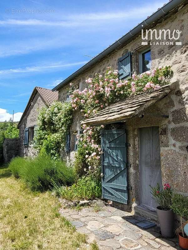 Maison à MONTSELGUES