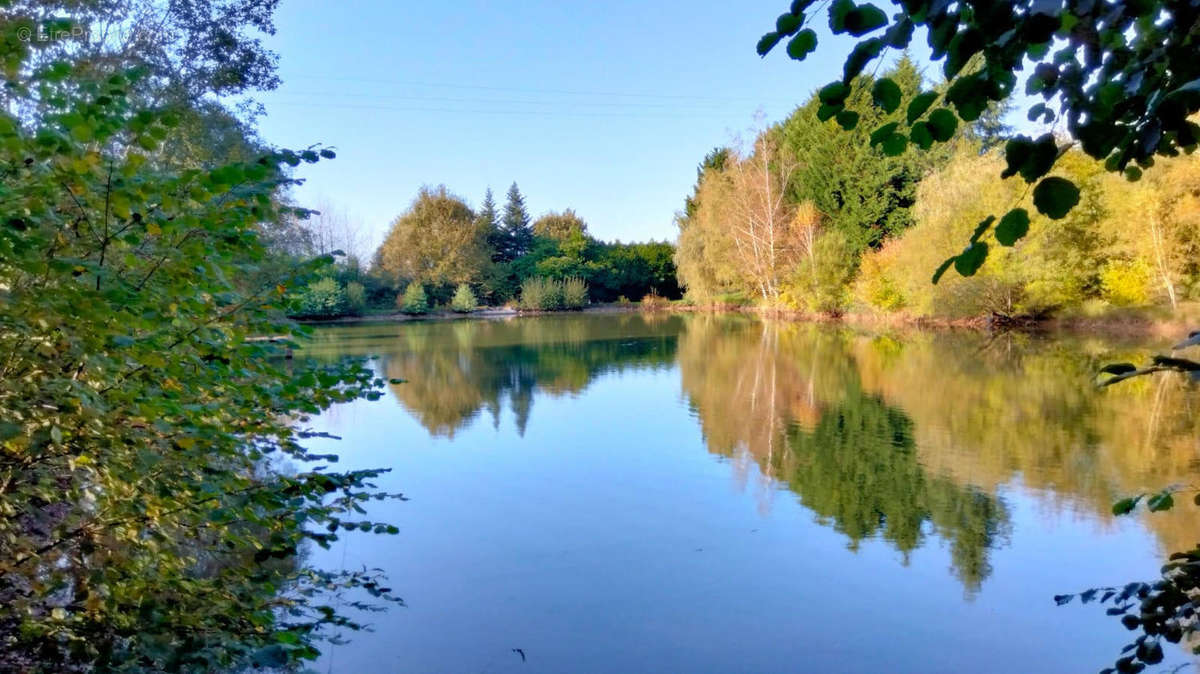 ETANG - Maison à CHABRAC