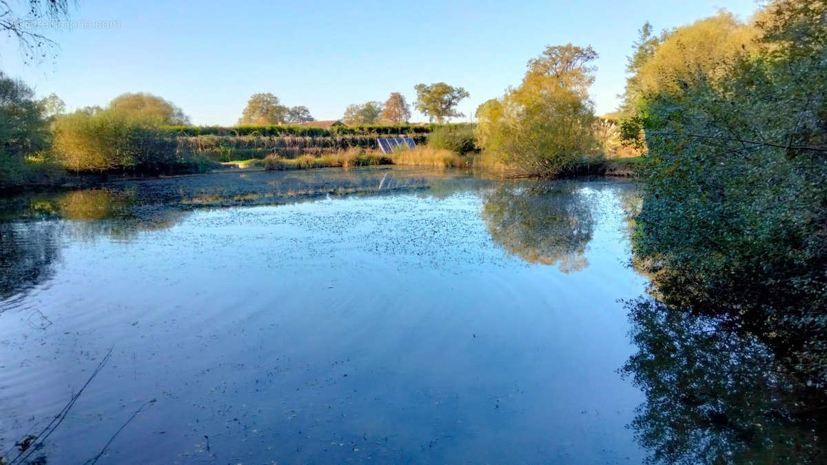 ETANG - Maison à CHABRAC