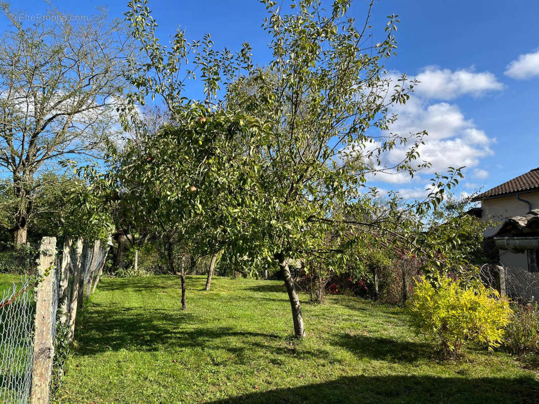 Charente house for sale - TCPF - 29 - Maison à AUBETERRE-SUR-DRONNE