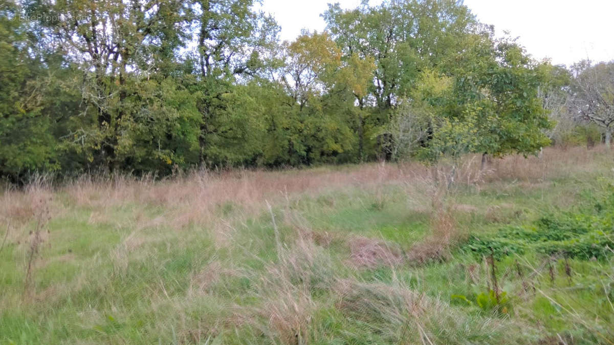 TERRAIN - Maison à LONNES