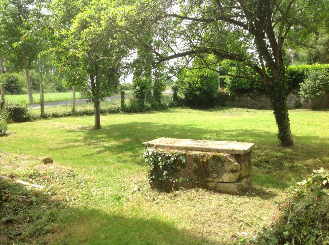 JARDIN - Maison à MOSNAC