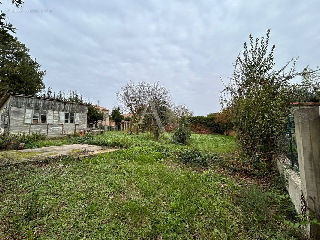 Terrain à MONTBAZIN