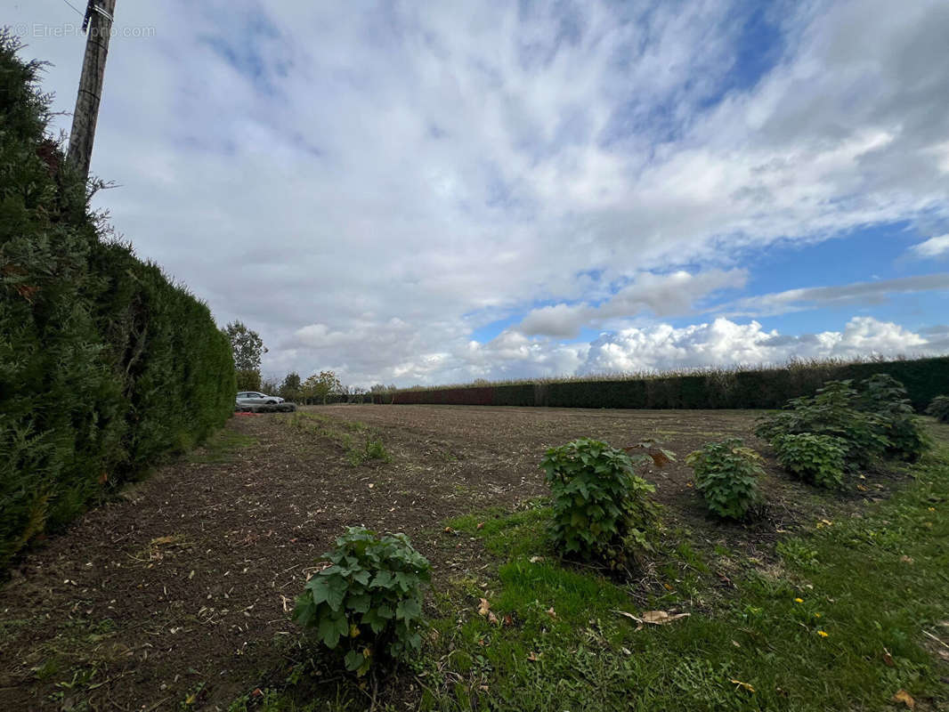 Terrain à CALONNE-SUR-LA-LYS