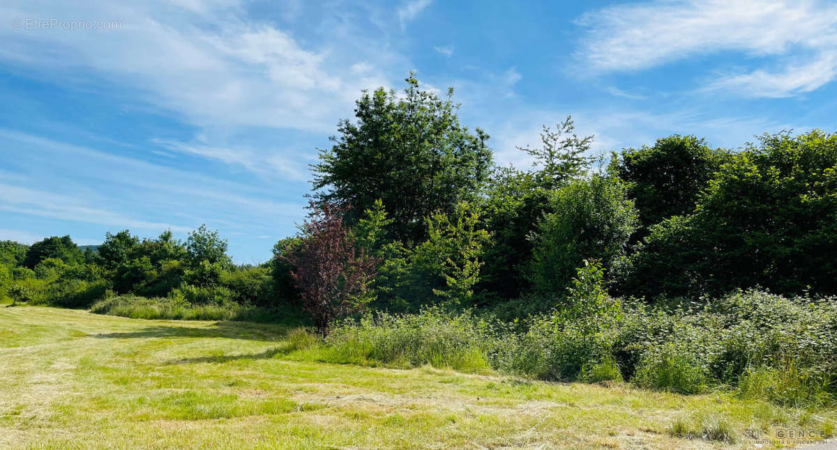 Terrain à RAON-L&#039;ETAPE