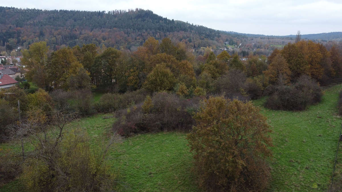 Terrain à RAON-L&#039;ETAPE