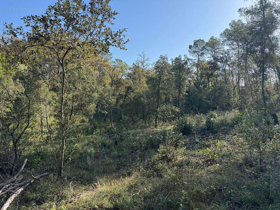 Terrain à BESSE-SUR-ISSOLE