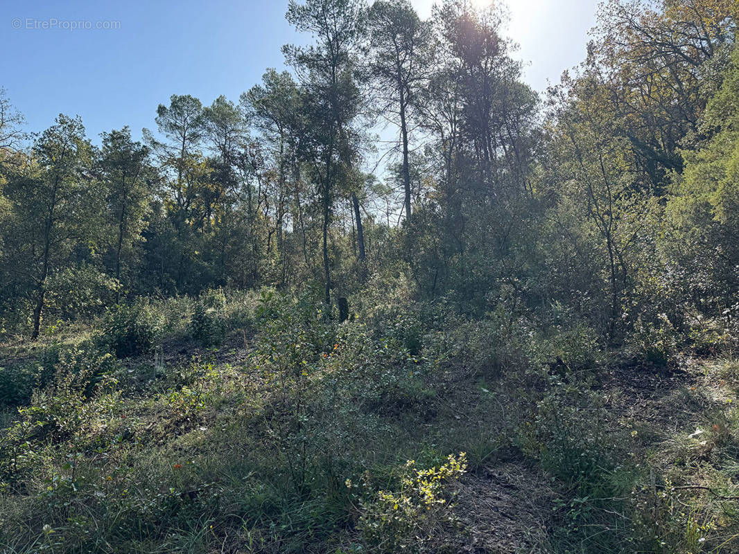 Terrain à BESSE-SUR-ISSOLE