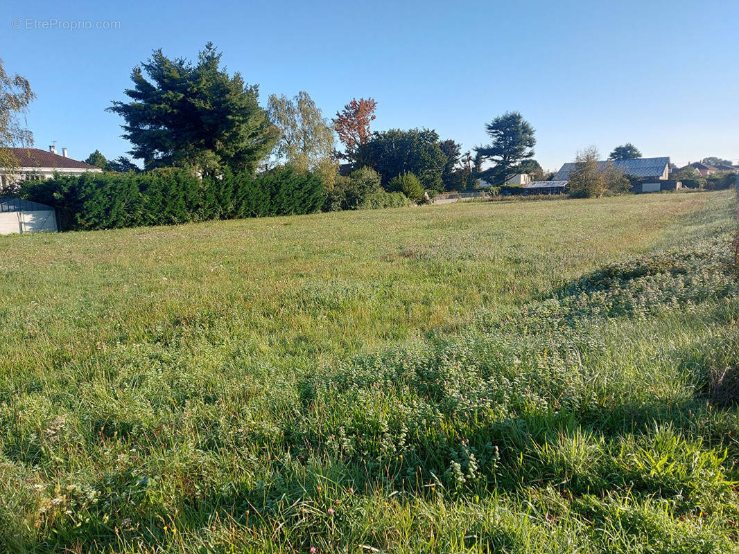 Terrain à LALOUBERE