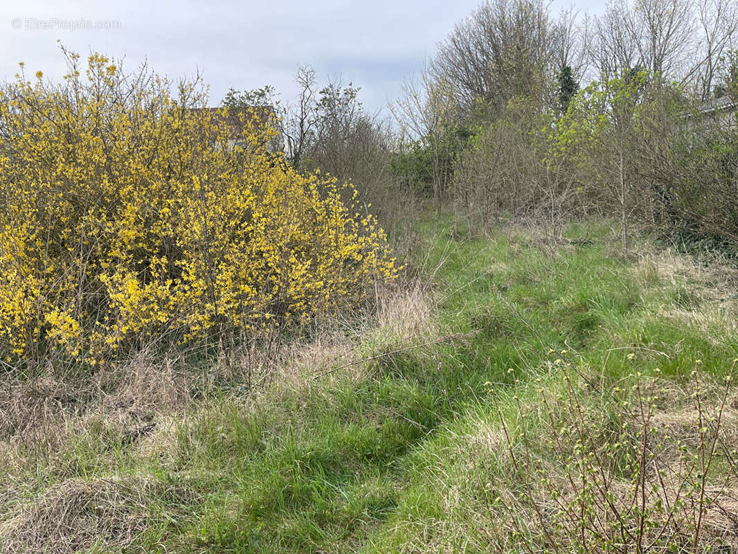 Terrain à EPIAIS-RHUS