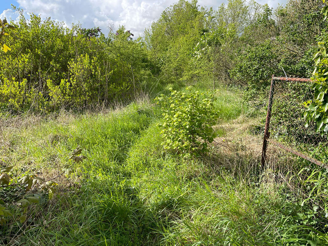 Terrain à EPIAIS-RHUS