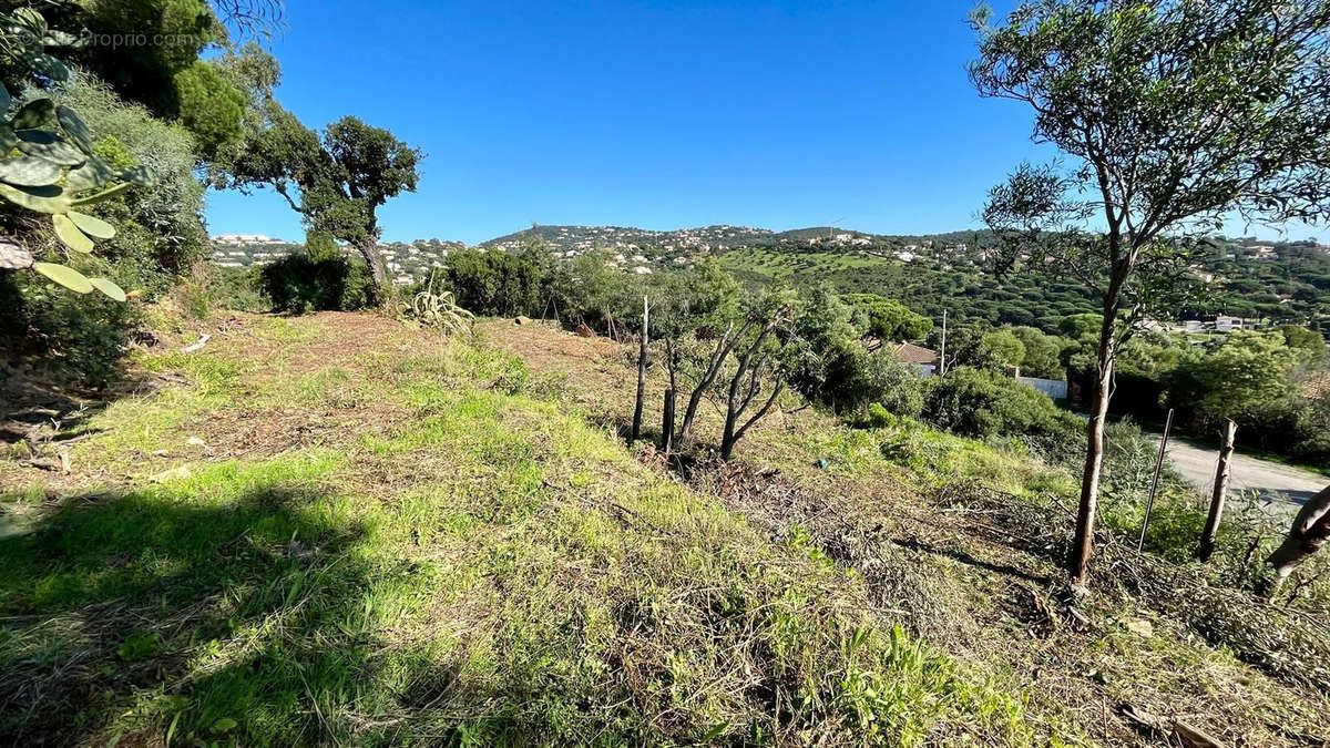 Terrain à ROQUEBRUNE-SUR-ARGENS