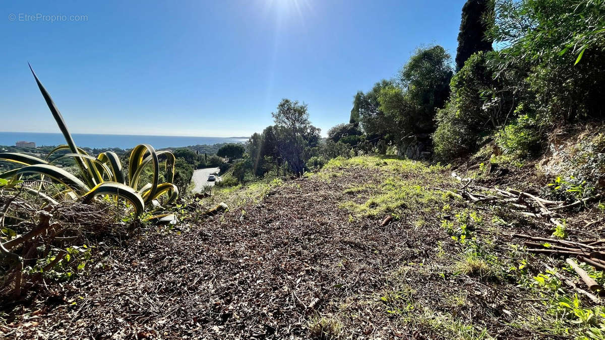 Terrain à ROQUEBRUNE-SUR-ARGENS