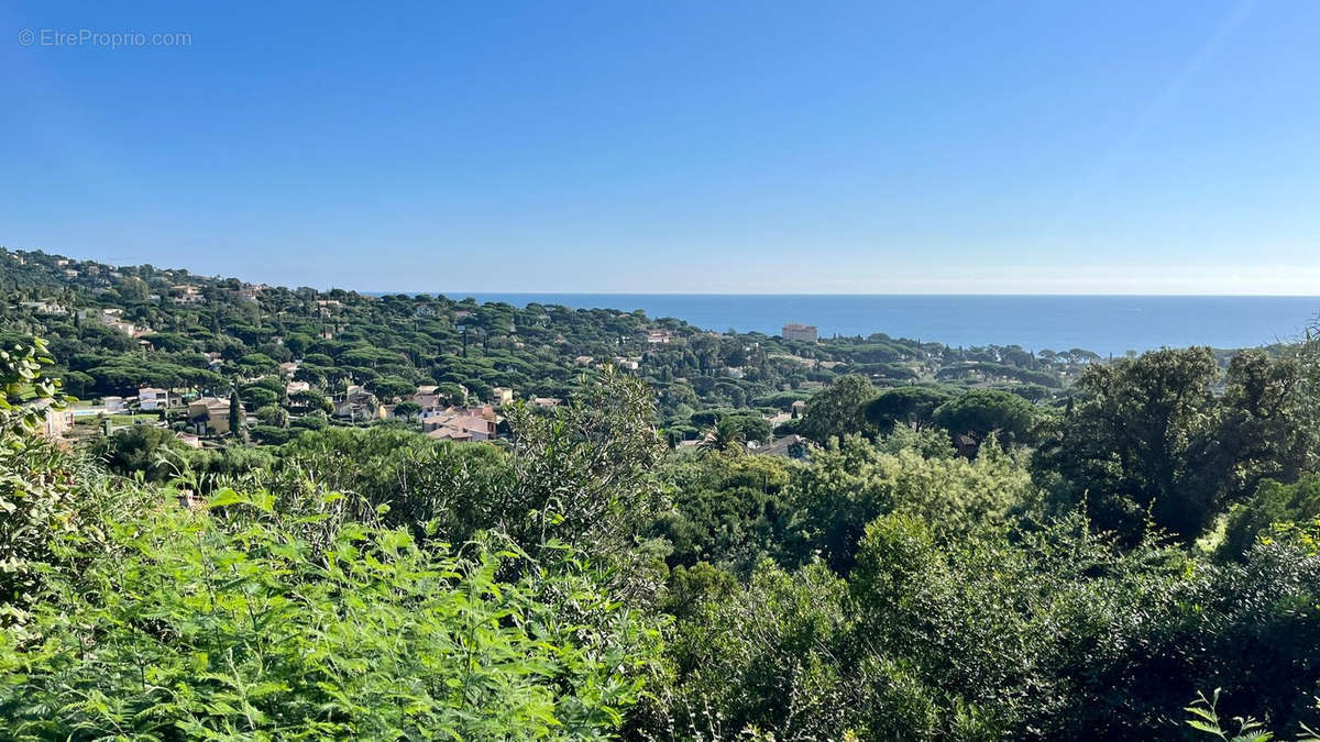 Terrain à ROQUEBRUNE-SUR-ARGENS