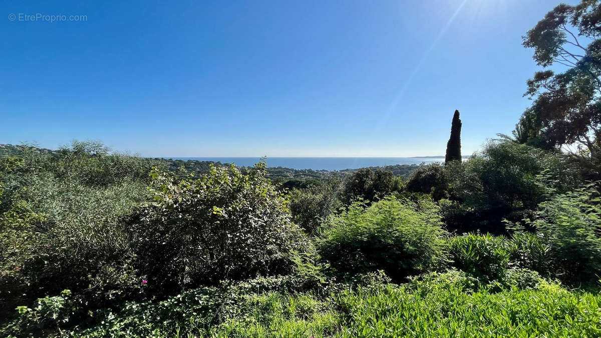 Terrain à ROQUEBRUNE-SUR-ARGENS