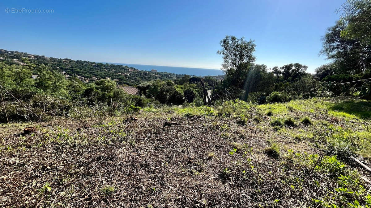 Terrain à ROQUEBRUNE-SUR-ARGENS