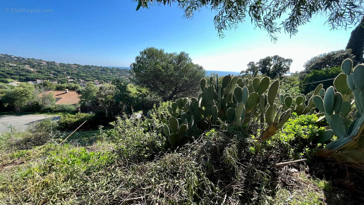 Terrain à ROQUEBRUNE-SUR-ARGENS