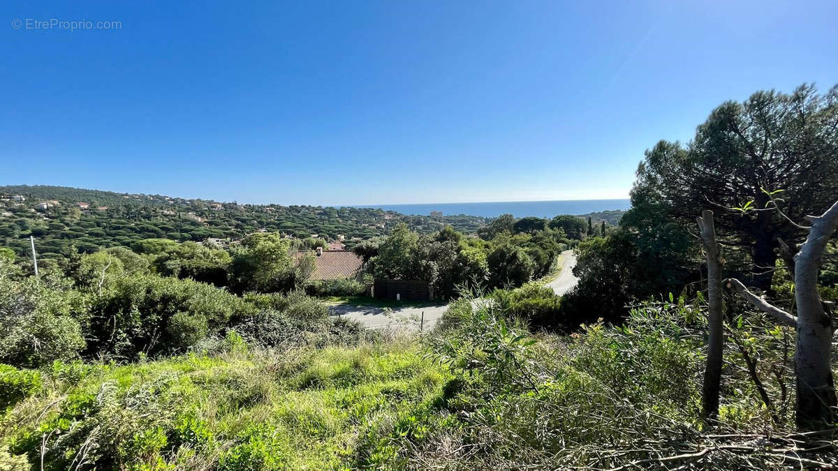 Terrain à ROQUEBRUNE-SUR-ARGENS