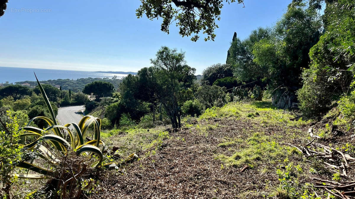 Terrain à ROQUEBRUNE-SUR-ARGENS